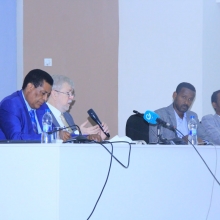  Ethiopia entry to BRICS and its role on promoting south- south cooperation