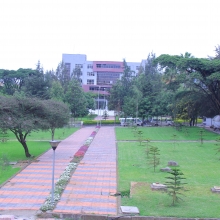 ኢሲሰዩ የሰራተኞች ድልድል እያካሄደ ይገኛል