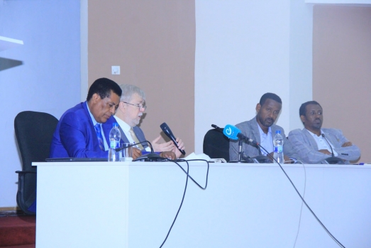 Ethiopia entry to BRICS and its role on promoting south- south cooperation