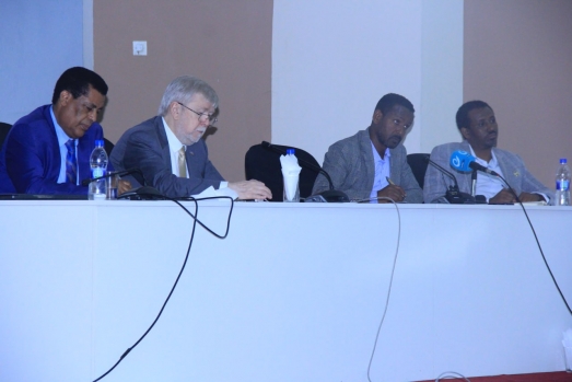 Ethiopia entry to BRICS and its role on promoting south- south cooperation