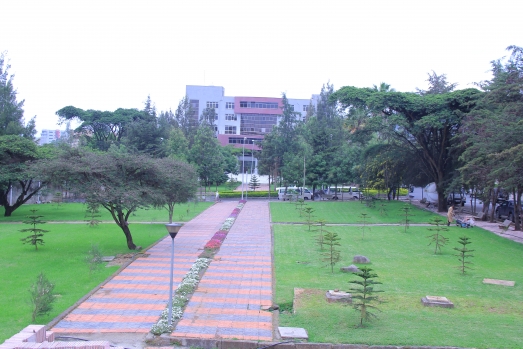 ኢሲሰዩ የሰራተኞች ድልድል እያካሄደ ይገኛል