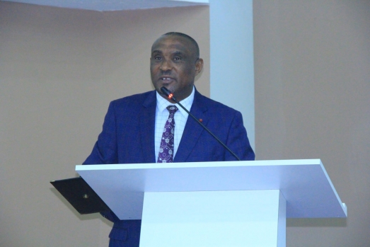 የኢሲሰዩ ካውንስል የ2016 የመጀመሪያ ሩብ ዓመት የስራ ክንውን ግምገማ አካሄደ