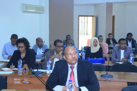 የኢሲሰዩ ካውንስል የ2016 የመጀመሪያ ሩብ ዓመት የስራ ክንውን ግምገማ አካሄደ