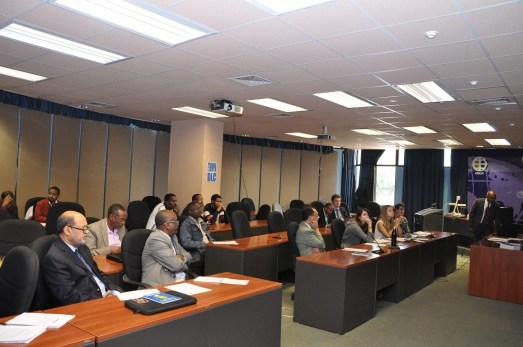 AIGAD holds Electoral Governance Book Project Workshop