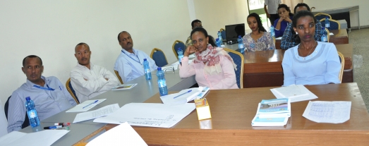 TCCD Gives Consultancy Skills Training