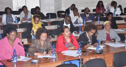 ECSU Council Evaluates the Nine Month Work Plan Performance