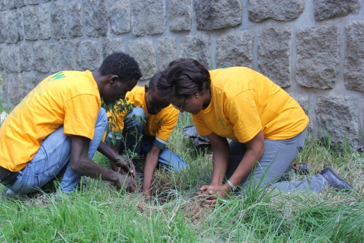 Green Club to Commence Action