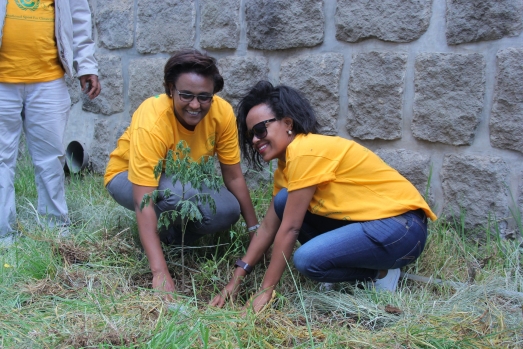 Green Club to Commence Action