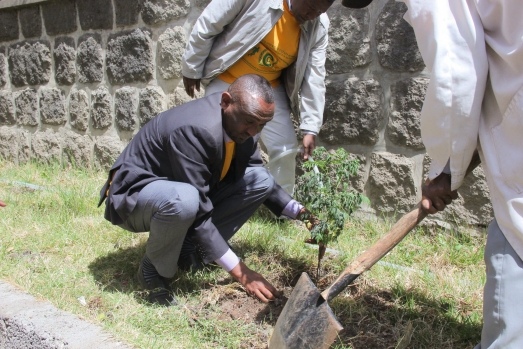 Green Club to Commence Action