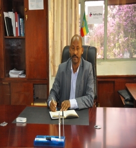 Wogari Negari (PhD)