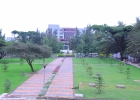 ኢሲሰዩ የሰራተኞች ድልድል እያካሄደ ይገኛል